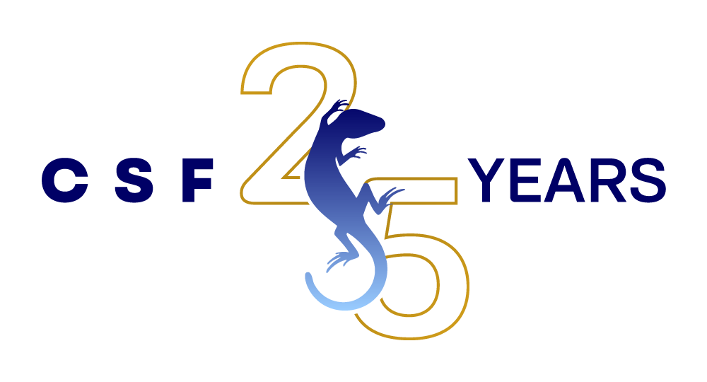 csf25.org